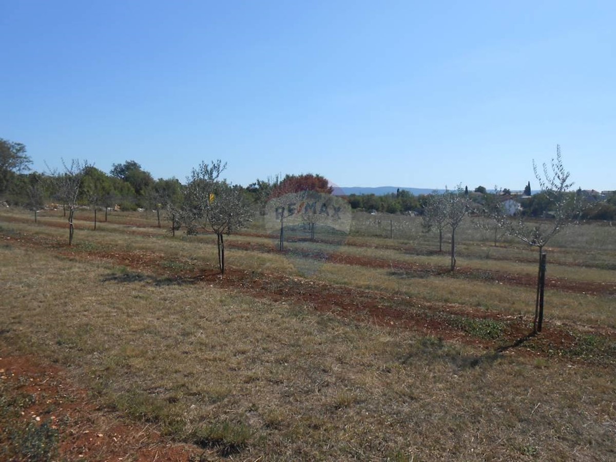 Terreno In vendita - ISTARSKA  MARČANA 