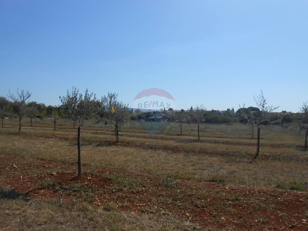 Land For sale - ISTARSKA  MARČANA 