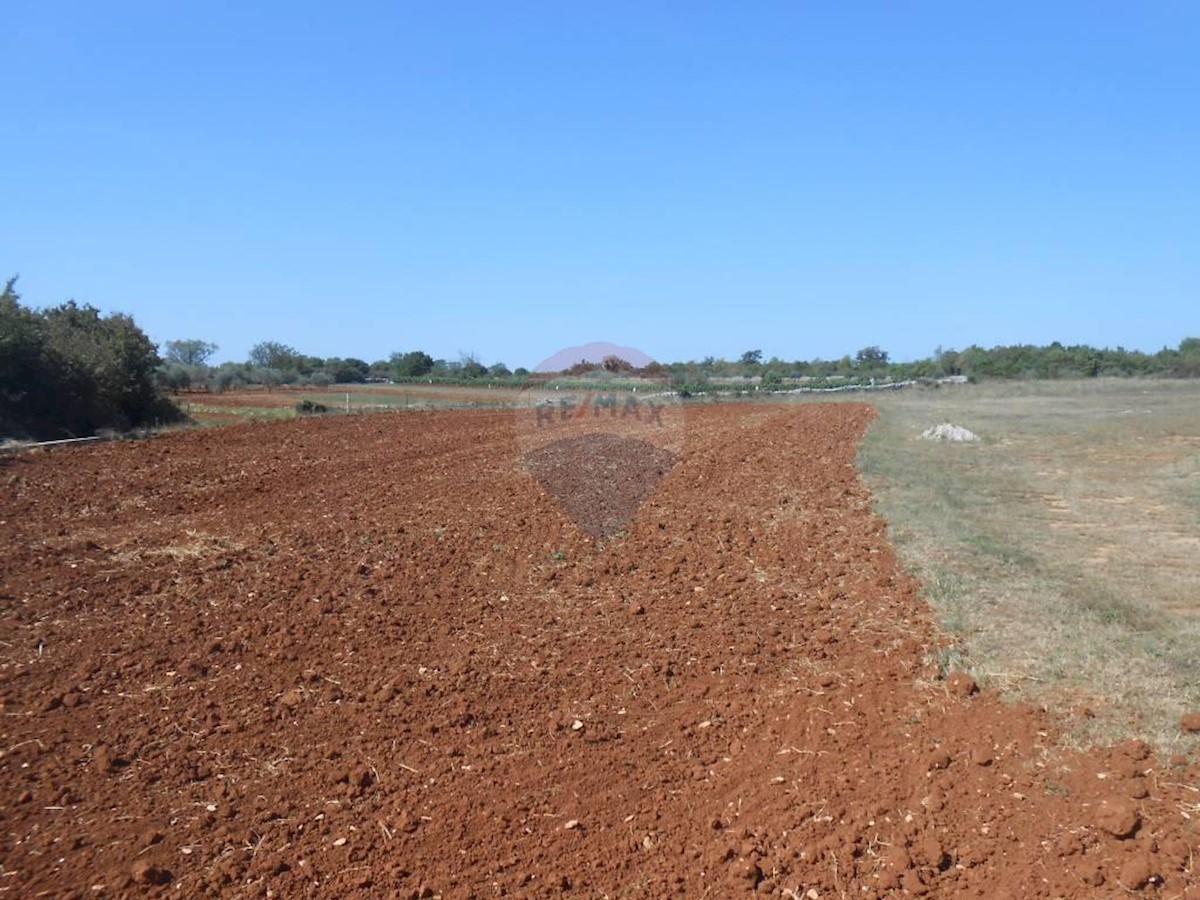 Terreno In vendita - ISTARSKA  MARČANA 