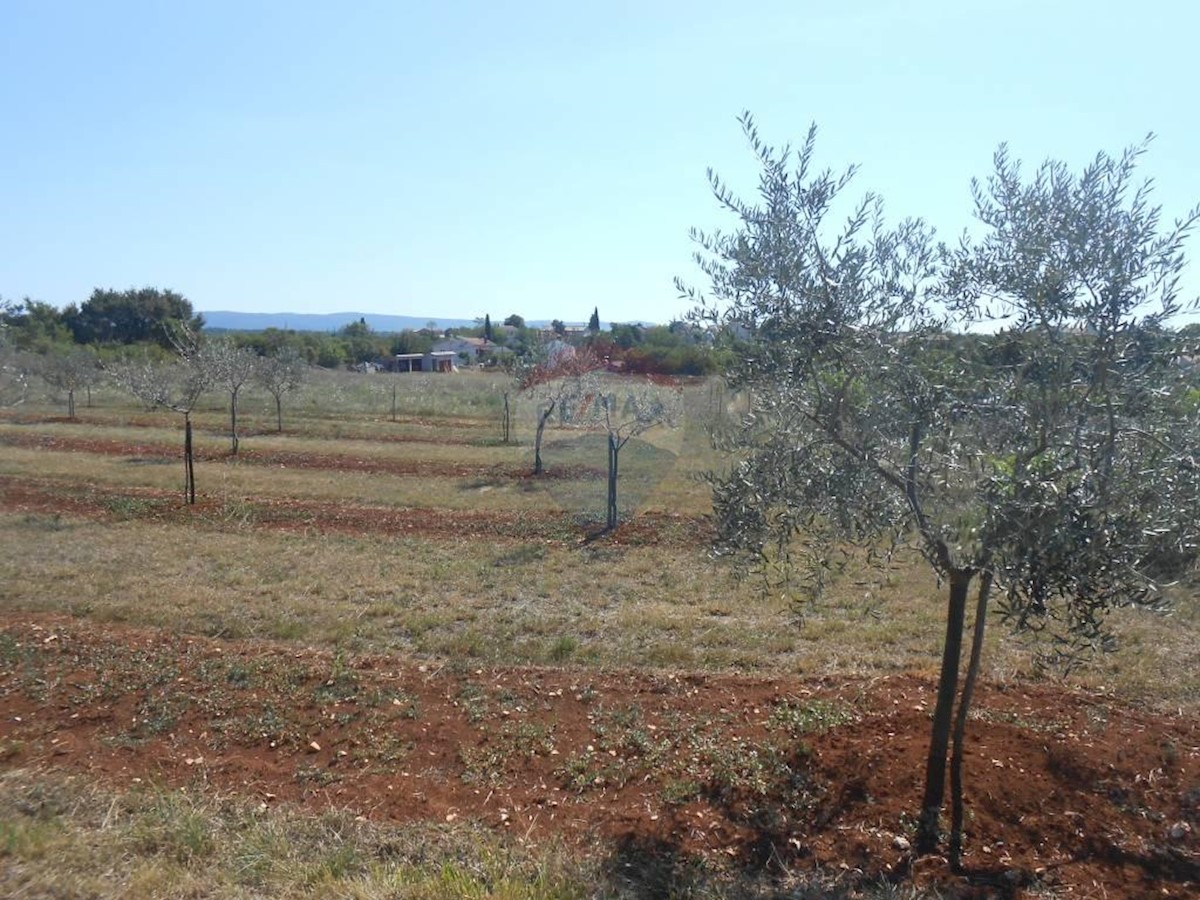 Terreno In vendita - ISTARSKA  MARČANA 