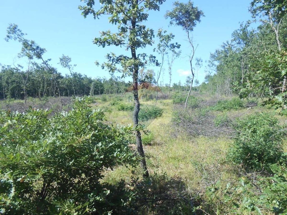 Land For sale - Istarska Vodnjan - foto 2/4