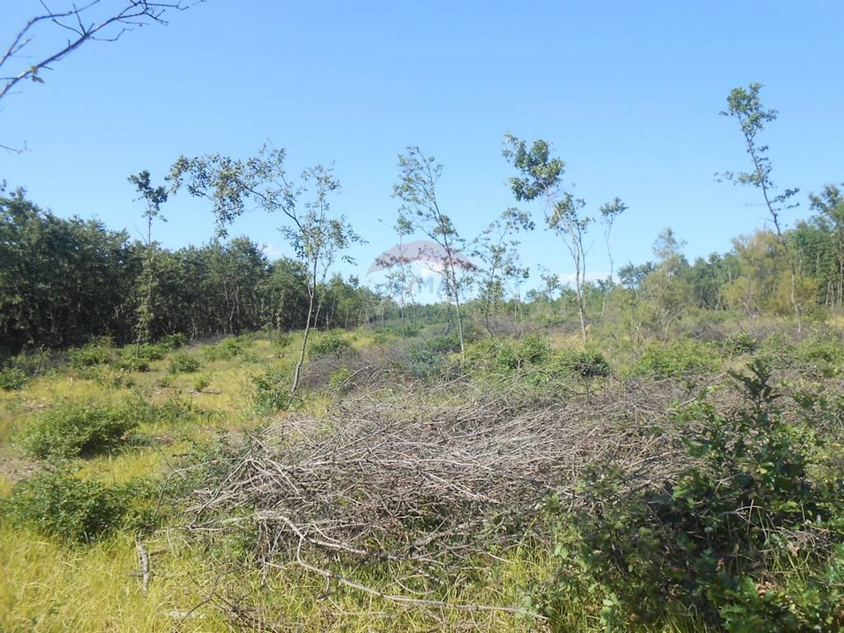 Land For sale - Istarska Vodnjan - foto 3/4