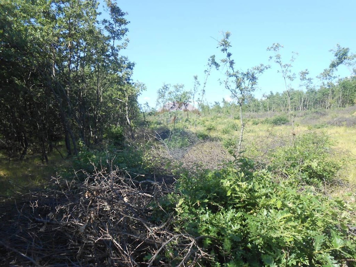 Land For sale - Istarska Vodnjan - foto 4/4