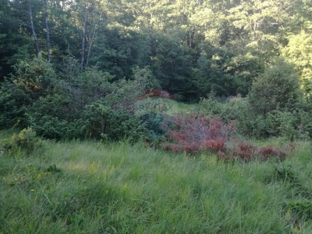 Terreno in vendita 4002 m² – Veli Brgud
