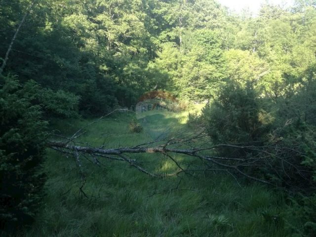 Land For sale - Primorsko-goranska Matulji - foto 2/4
