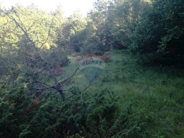 Land For sale - Primorsko-goranska Matulji - foto 3/4