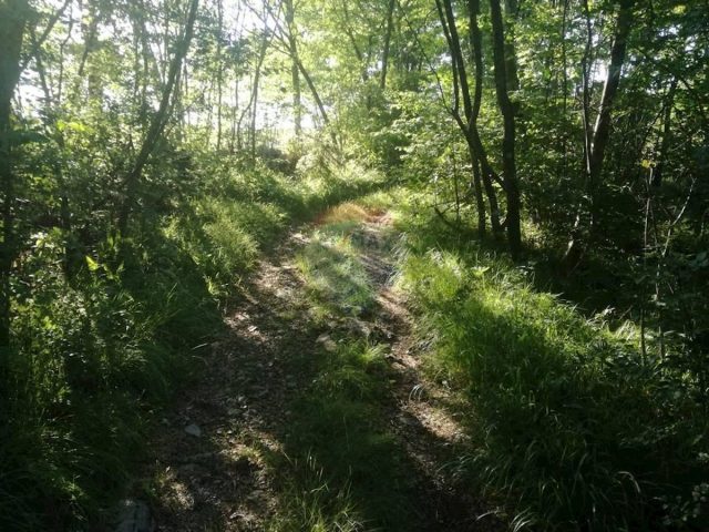 Land For sale - Primorsko-goranska Matulji - foto 4/4