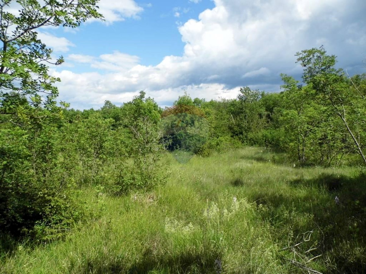 Terreno In vendita KRMED