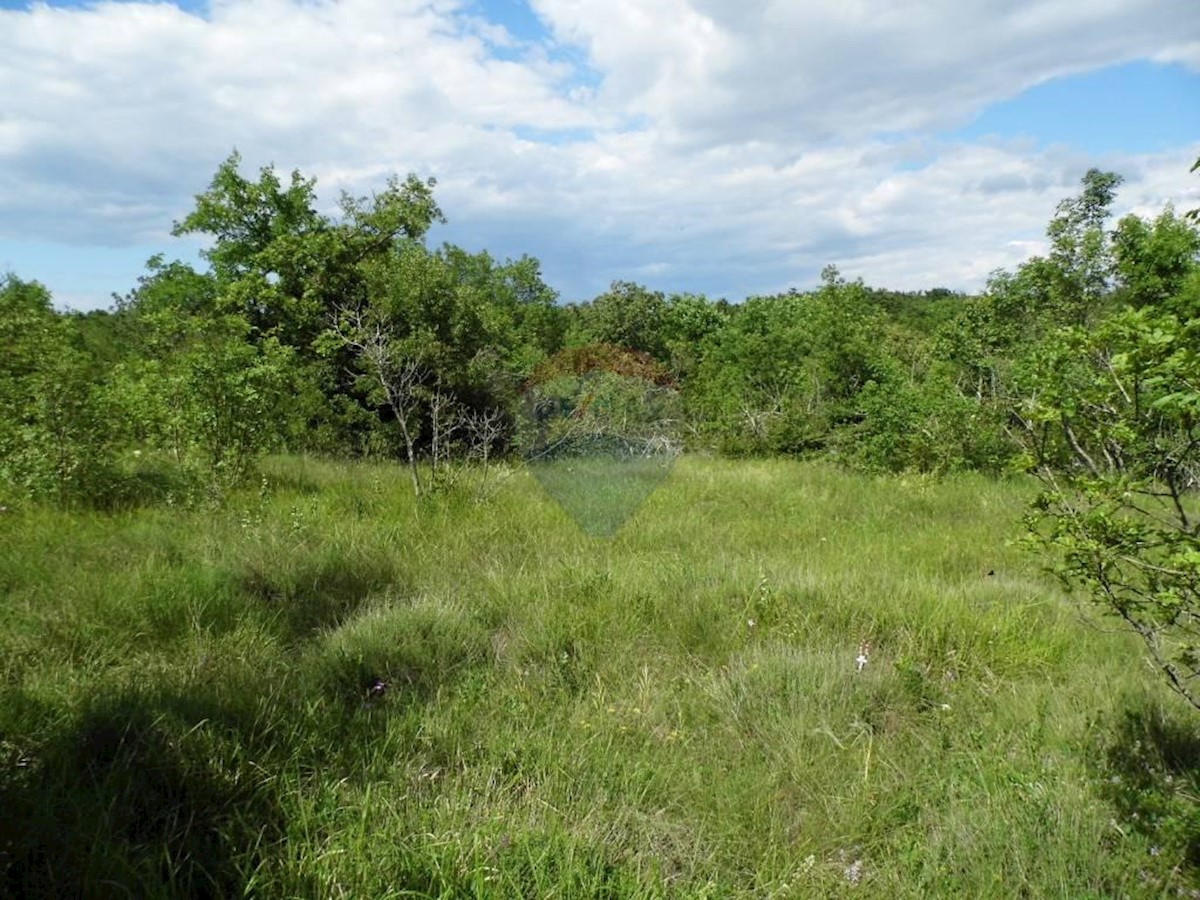 Land For sale - ISTARSKA  BALE 