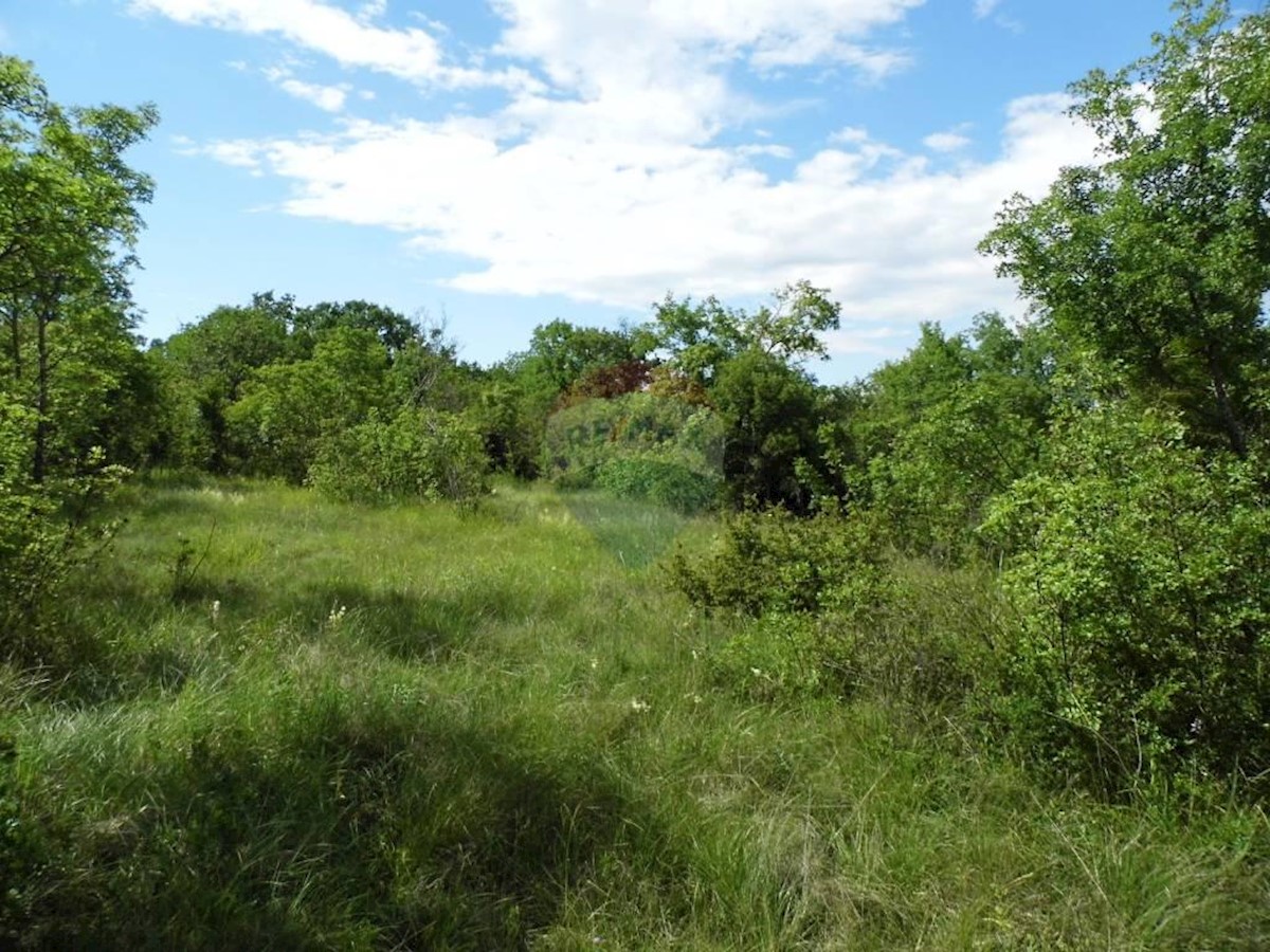 Land For sale - ISTARSKA  BALE 