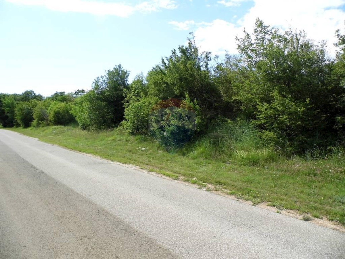 Land For sale - ISTARSKA  BALE 