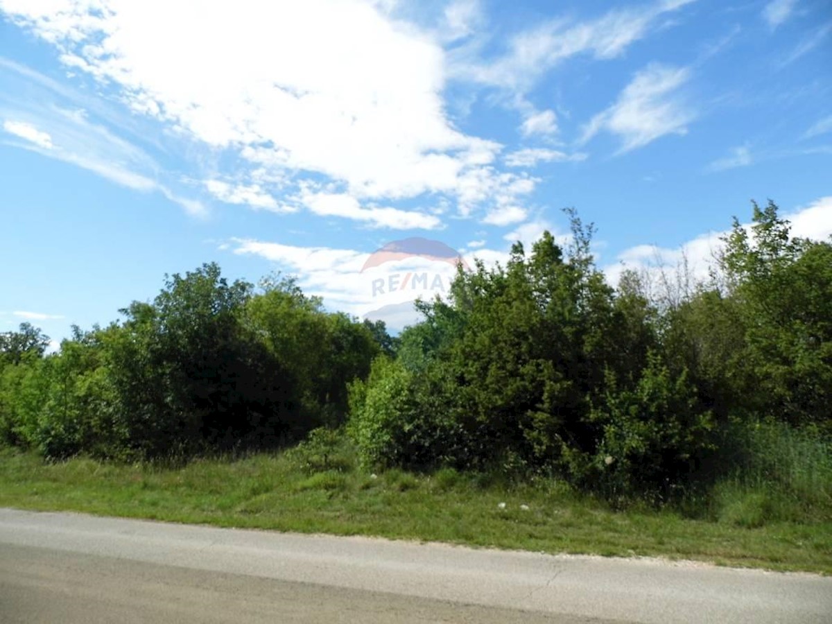 Land For sale - ISTARSKA  BALE 