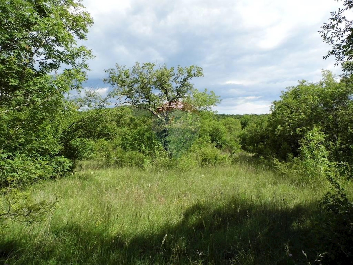 Land For sale - ISTARSKA  BALE 