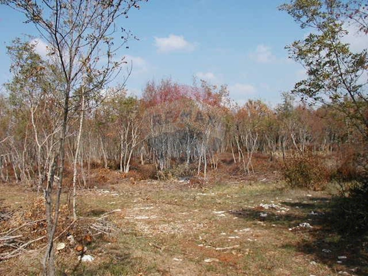 Land For sale - ISTARSKA  BALE 