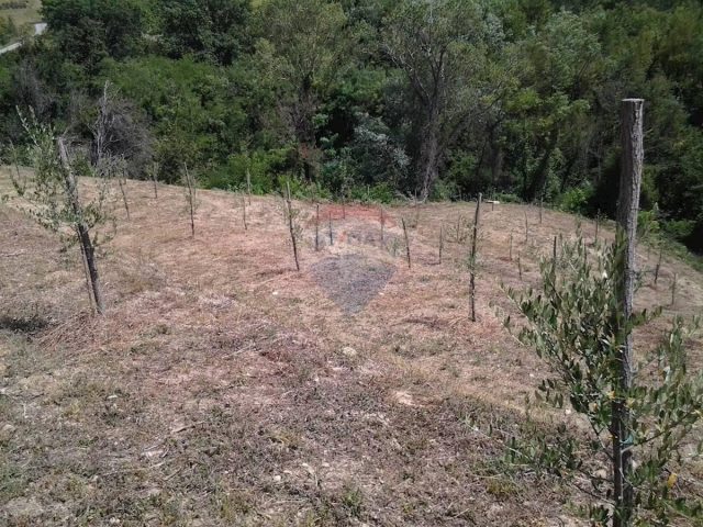 Parcela Naprodaj - Istarska Cerovlje - foto 3/8