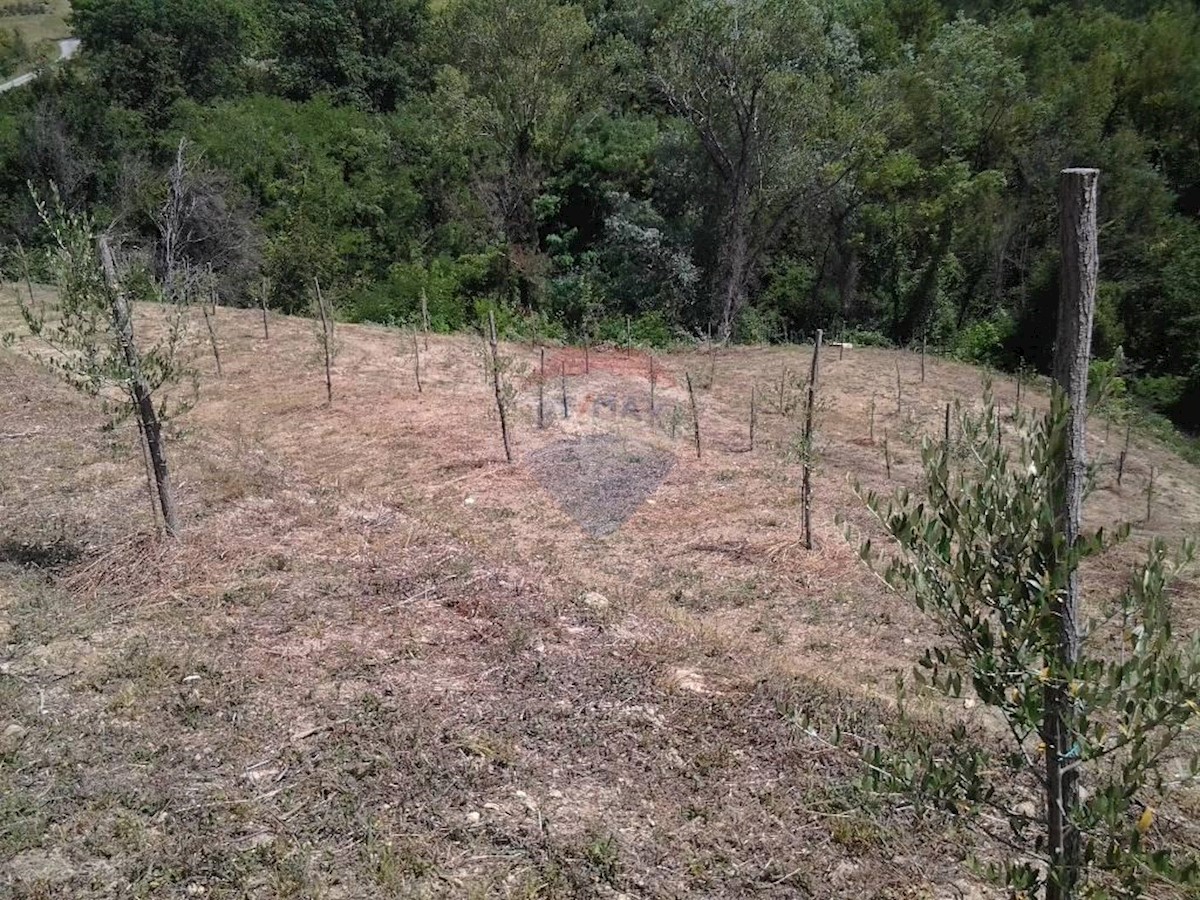 Terreno In vendita - ISTARSKA  CEROVLJE 