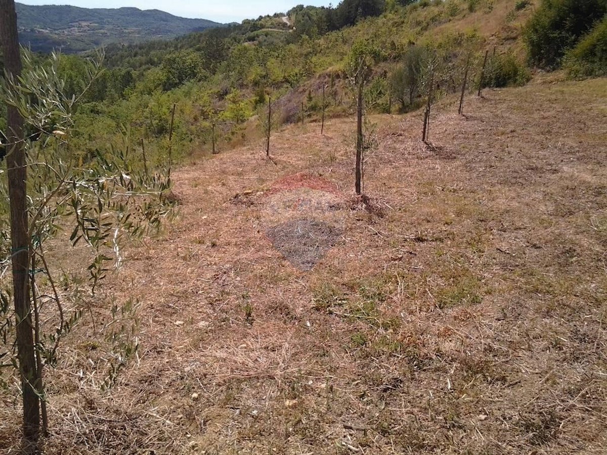 Terreno In vendita - ISTARSKA  CEROVLJE 