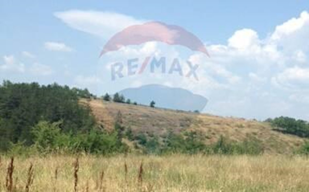 Land For sale - ISTARSKA  CEROVLJE 