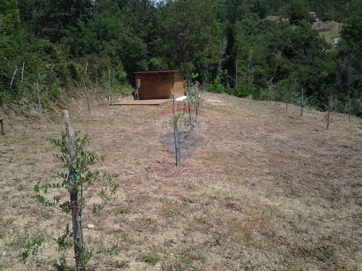 Terreno In vendita - ISTARSKA  CEROVLJE 