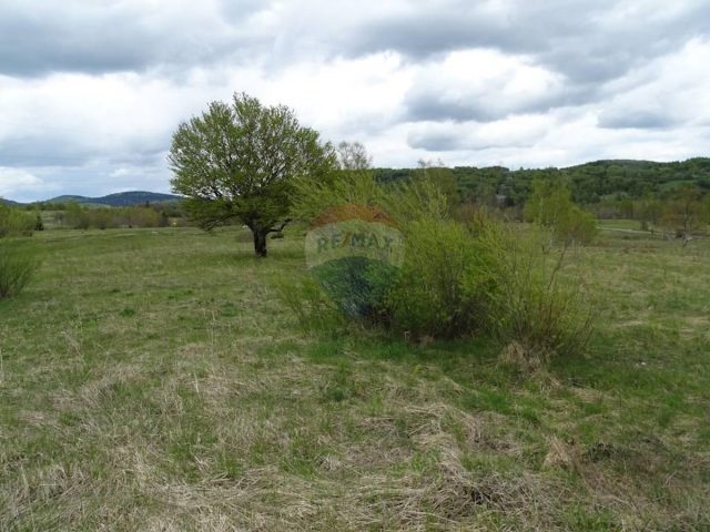 Terrain à vendre 22591 m² – Zalesina