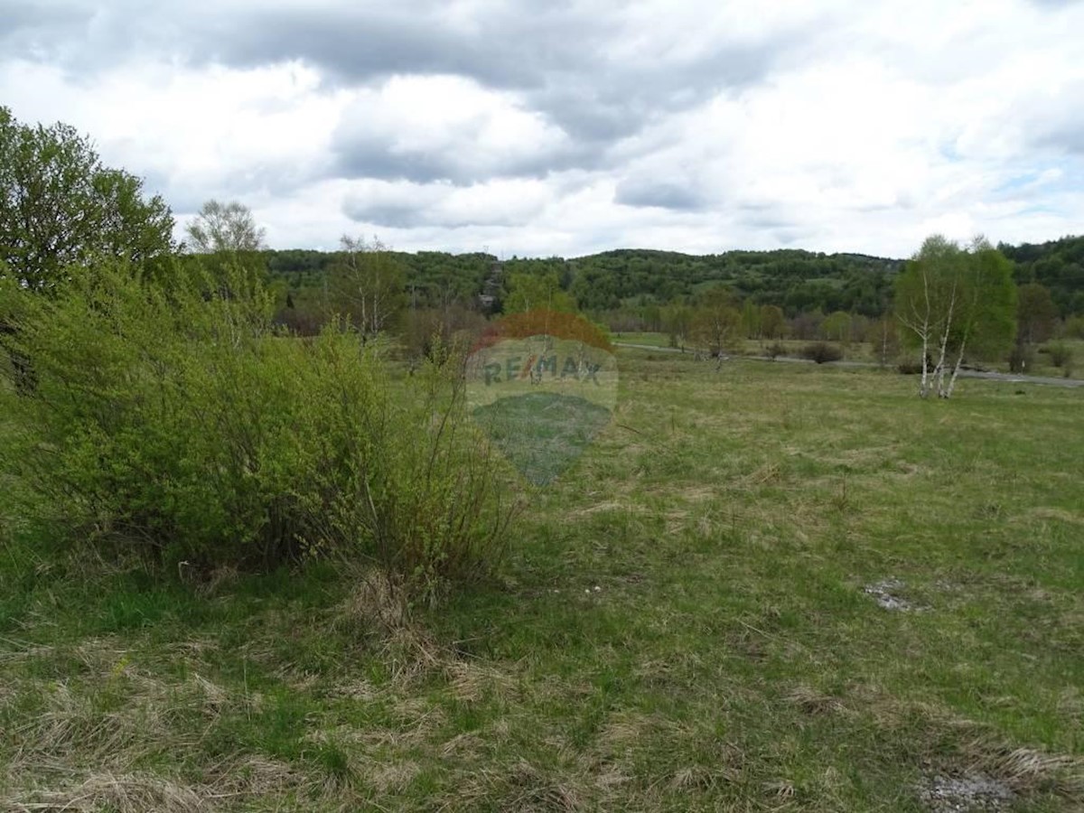 Land For sale - PRIMORSKO-GORANSKA  DELNICE 