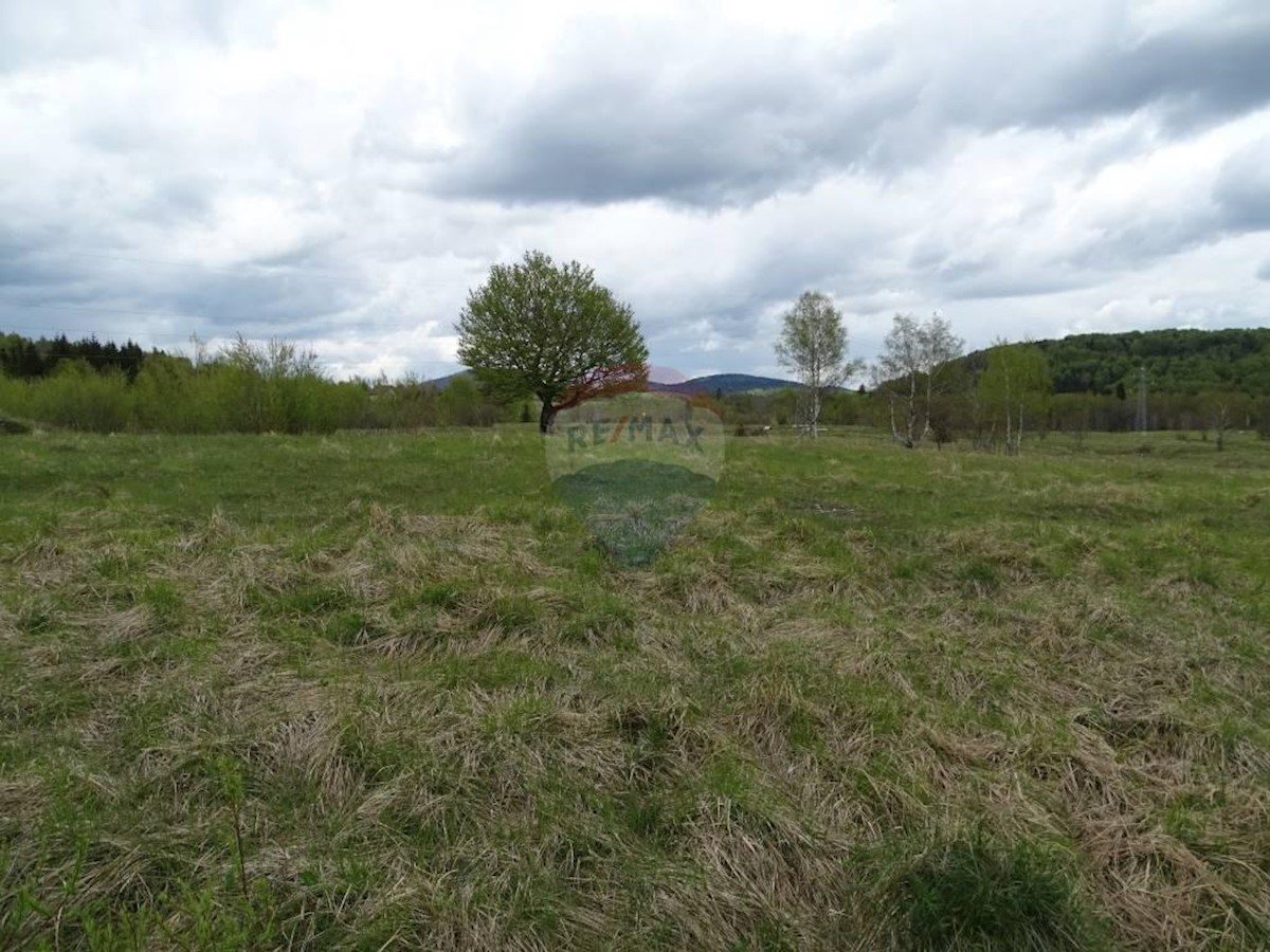 Land For sale - PRIMORSKO-GORANSKA  DELNICE 