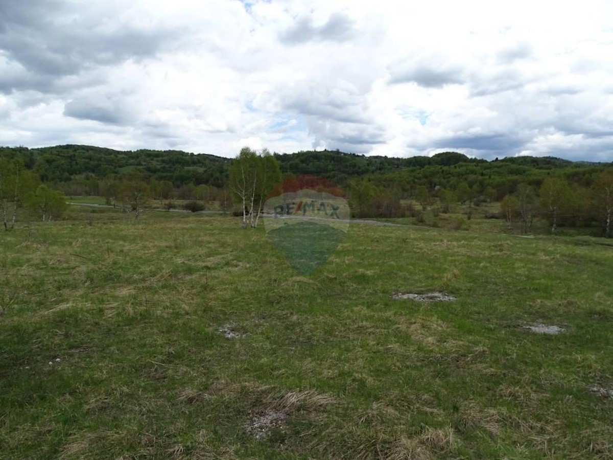 Land For sale - PRIMORSKO-GORANSKA  DELNICE 