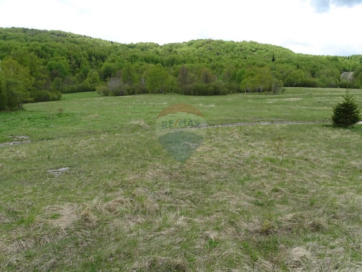 Land For sale - PRIMORSKO-GORANSKA  DELNICE 