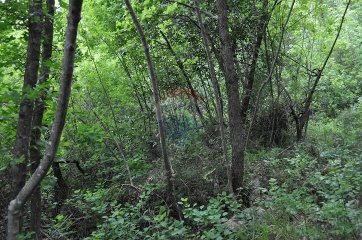 Land For sale BRSEČ