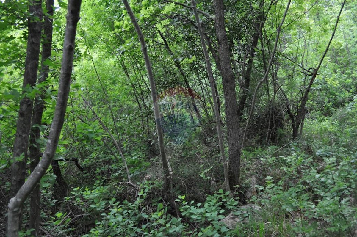Land For sale - Primorsko-goranska Mošćenička Draga - foto 1/2