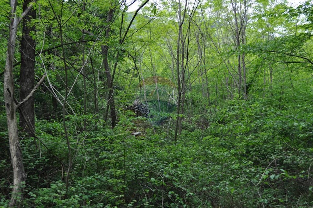 Land For sale - Primorsko-goranska Mošćenička Draga - foto 2/2