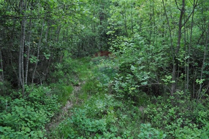 Zemljište Na prodaju - Primorsko-goranska Mošćenička Draga - foto 2/5