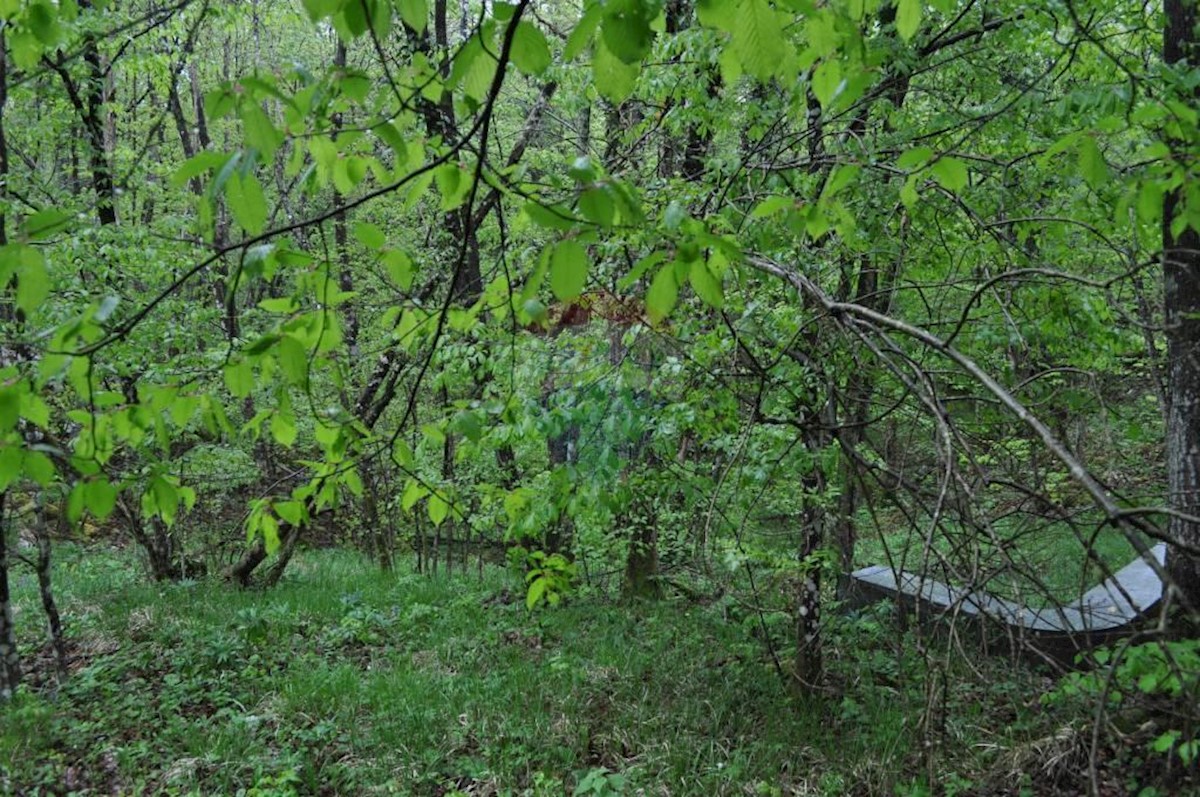 Terreno Da affittare - PRIMORSKO-GORANSKA  MATULJI 