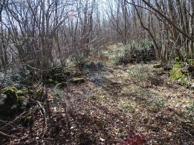 Land For sale - Primorsko-goranska Matulji - foto 4/5