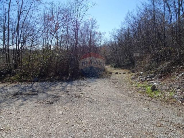 Land For sale - Primorsko-goranska Matulji - foto 5/5