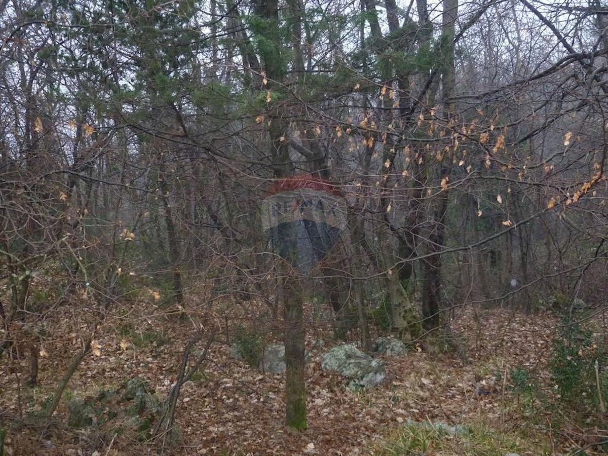 Terrain À vendre - Primorsko-goranska Matulji - foto 1/1