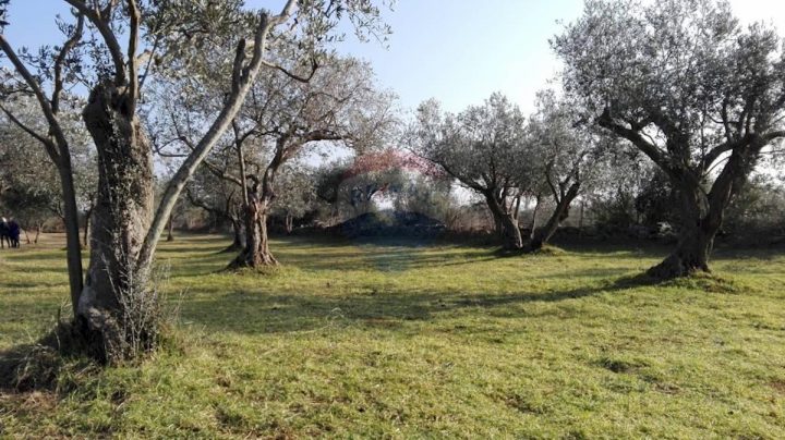 Terreno In vendita - Istarska Vodnjan - foto 2/5