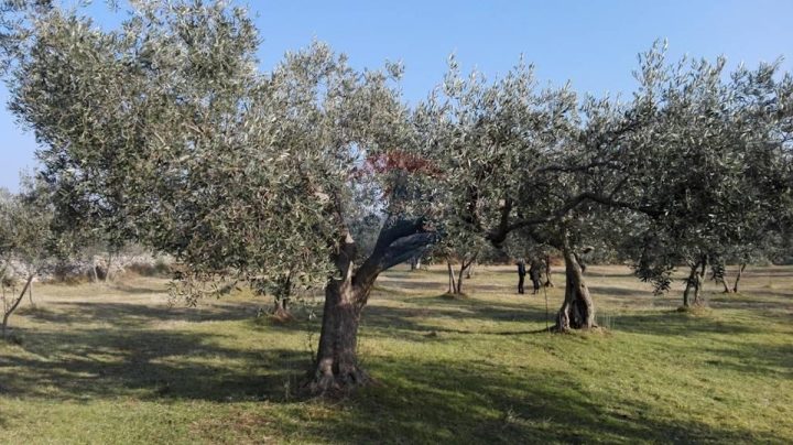 Terreno In vendita - Istarska Vodnjan - foto 3/5