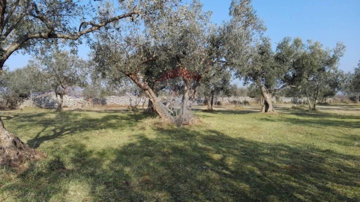 Terreno In vendita - Istarska Vodnjan - foto 4/5