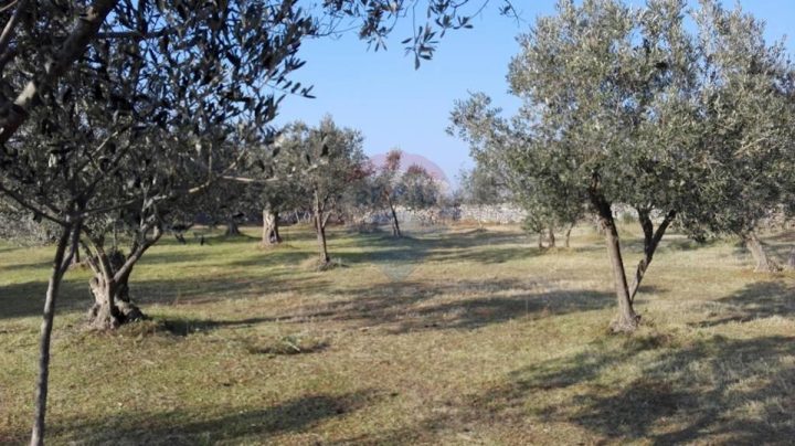 Terreno In vendita - Istarska Vodnjan - foto 5/5