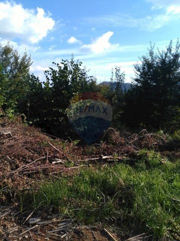 Parcela na predaj 7740 m² – Hajdine