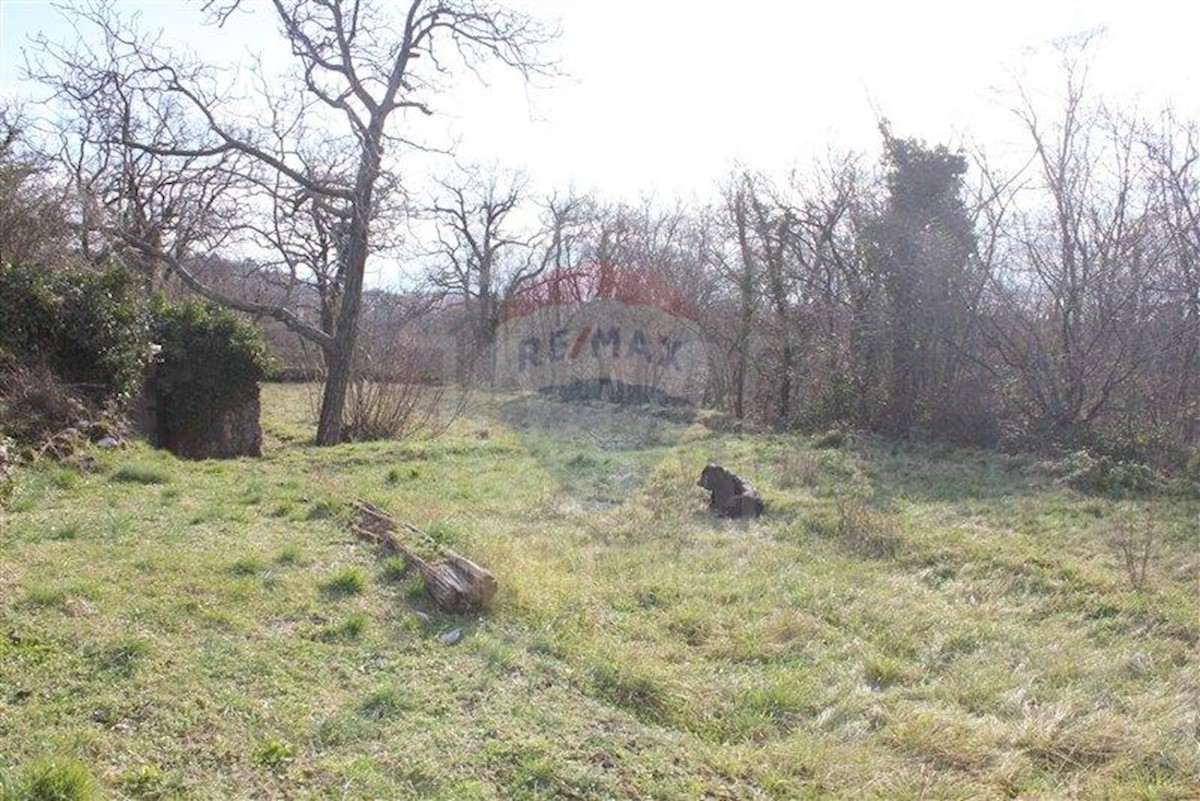 Land For sale BUZDOHANJ