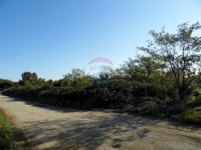 Land for sale 4912 m² – Pula