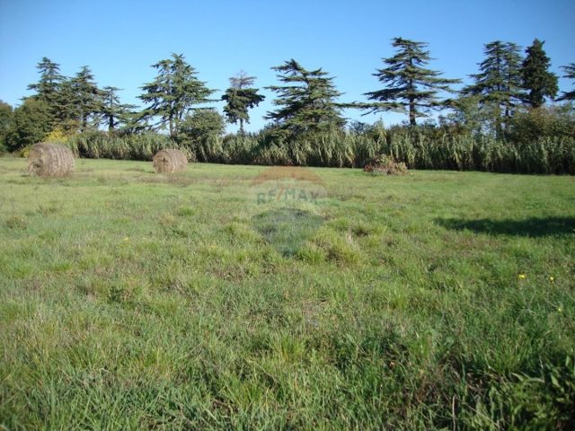 Land for sale 5000 m² – Pula