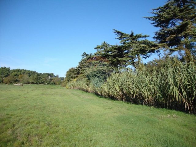 Land For sale - Istarska Pula - foto 2/5