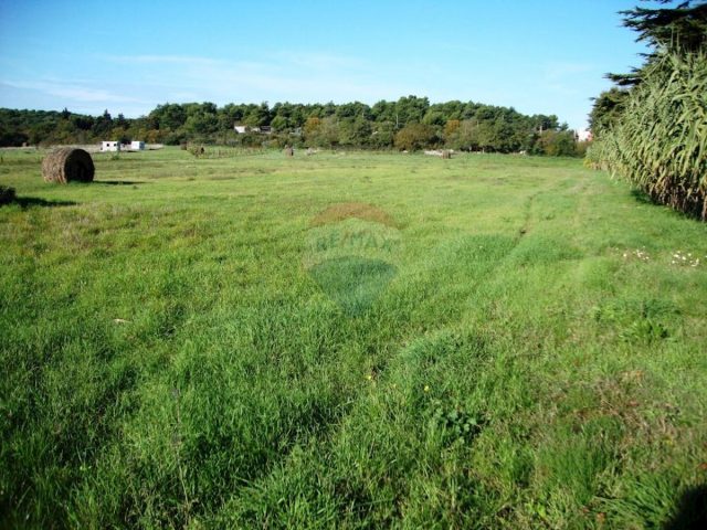 Land For sale - Istarska Pula - foto 4/5