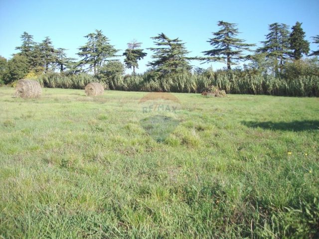 Land For sale - Istarska Pula - foto 5/5