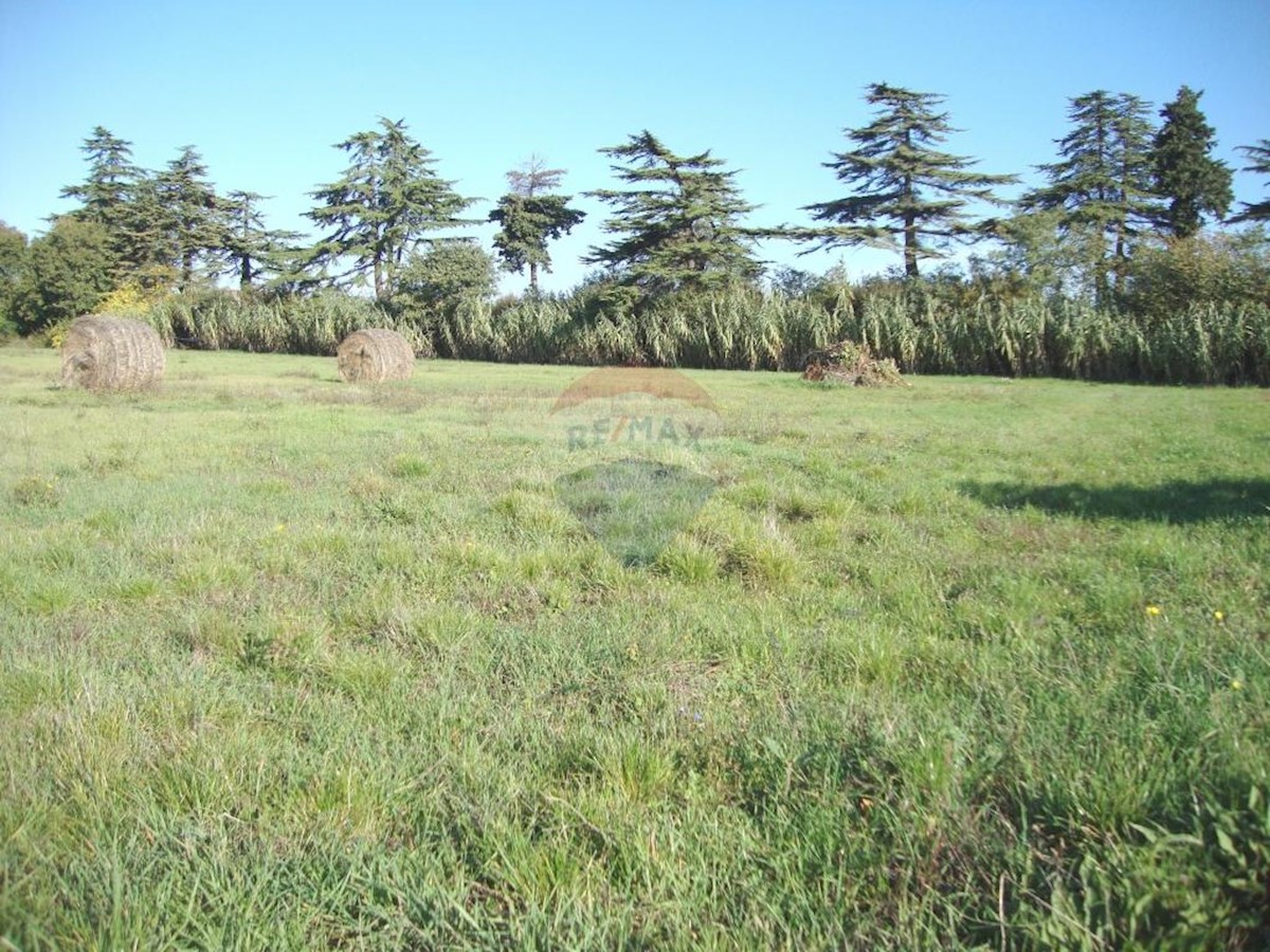 Land For sale - ISTARSKA  Pula