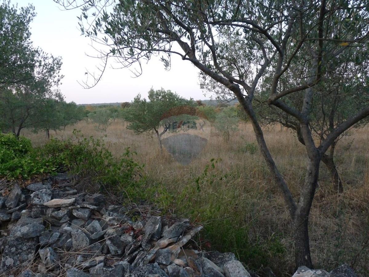 Terreno In vendita - ISTARSKA  FAŽANA 