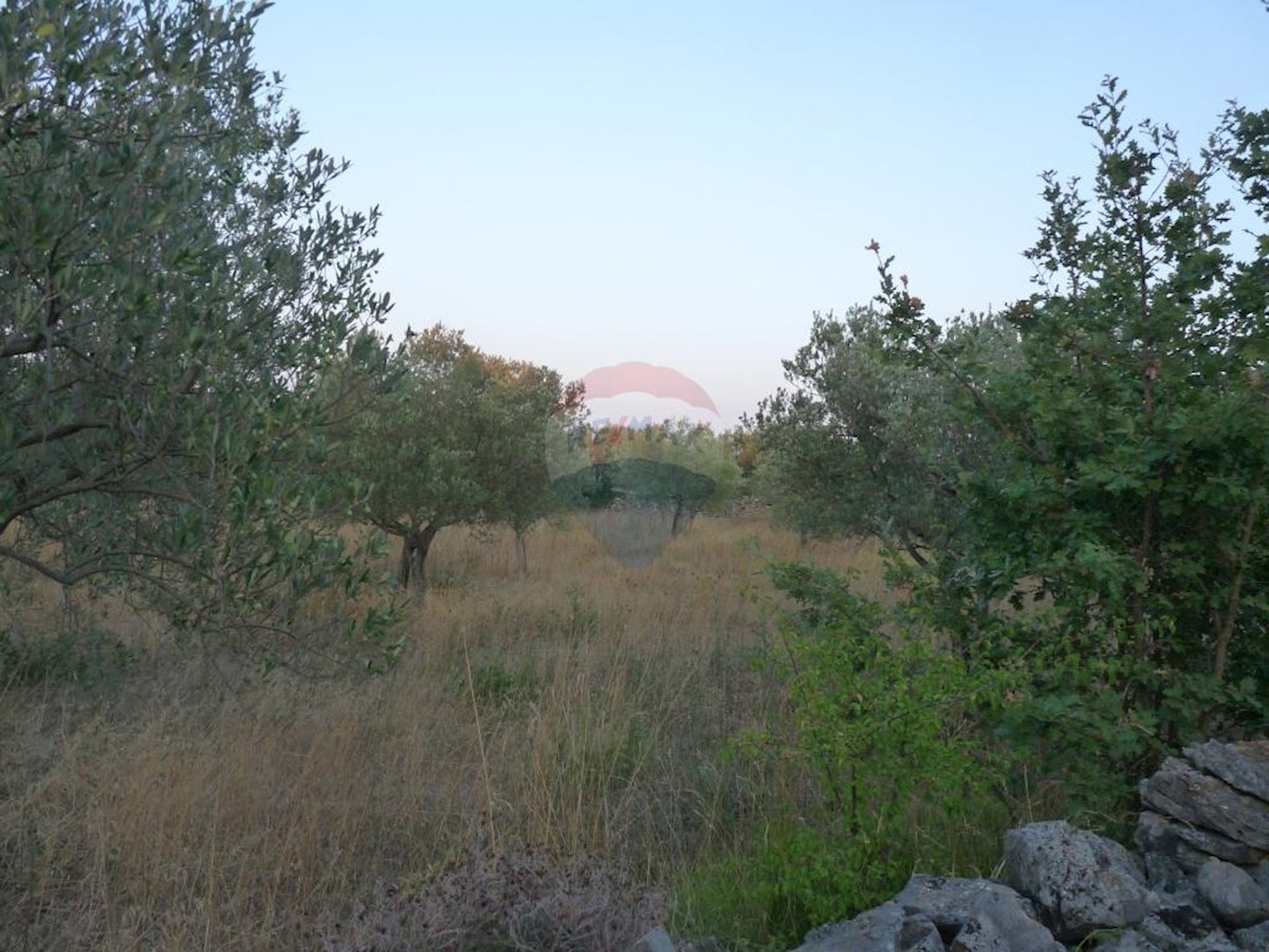 Terrain À vendre - ISTARSKA  Fažana